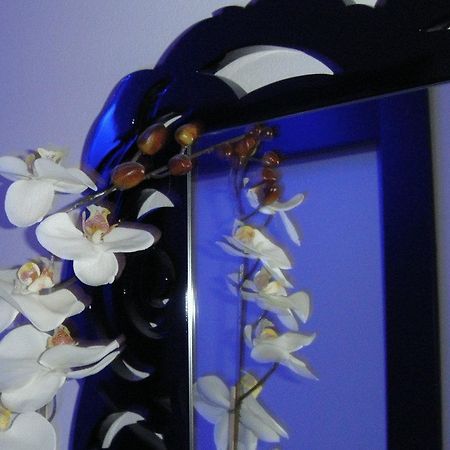 Atmosphere Suite Hotel ريميني المظهر الخارجي الصورة